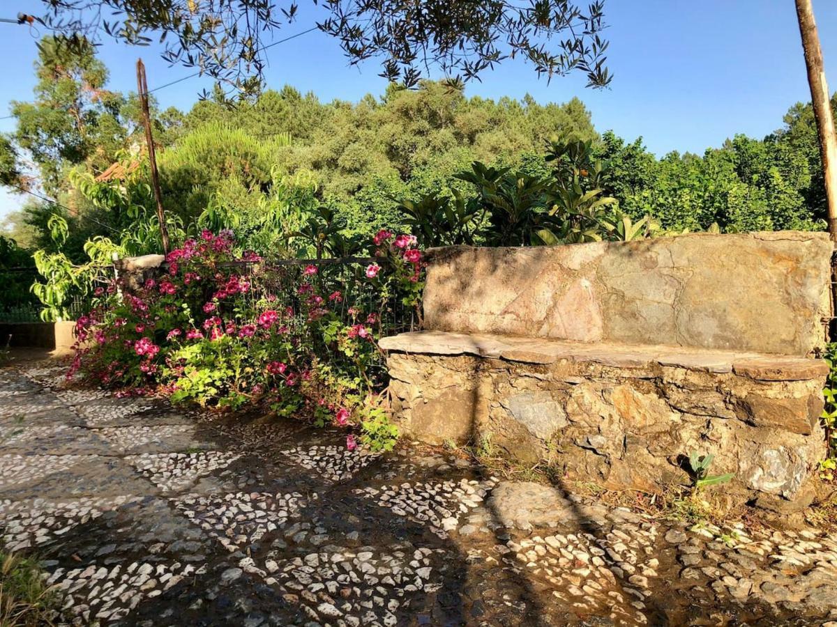 הוילה פוואנטהרידוס Casa Papiqui מראה חיצוני תמונה